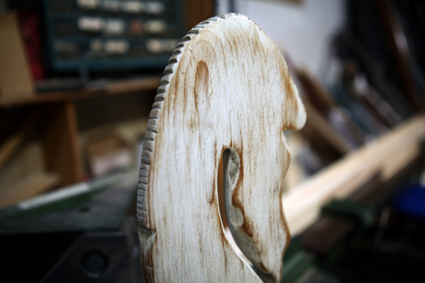 ‘Untitled (vulture)’