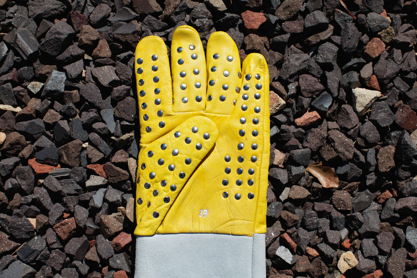 ‘Cobra’-proof snake handling gloves
